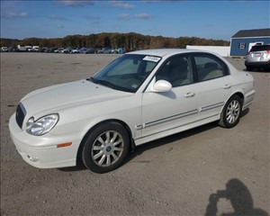 2004 HYUNDAI SONATA KMHWF35H34A920659 GLORY AUTO SALES LTD 