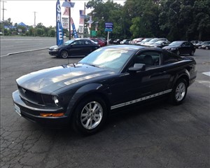 2008 FORD MUSTANG 1ZVHT80N885206960 SHELDON MOTORS OF EAST BRUNSWICK 
