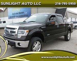 2014 FORD F-150 1FTFW1ET5EKE50630 SUNLIGHT AUTO LLC 