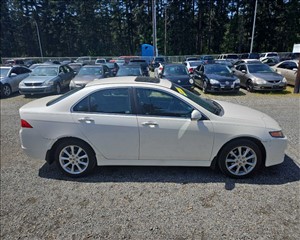 2006 ACURA TSX JH4CL96896C003670 WILSON MOTORS 