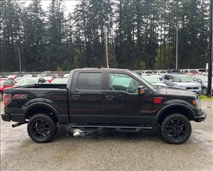 2014 FORD F-150 1FTFW1ET6EFA21344 WILSON MOTORS 