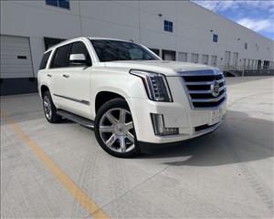 2015 CADILLAC ESCALADE 1GYS4BKJ3FR287704 AUTOBOSS 