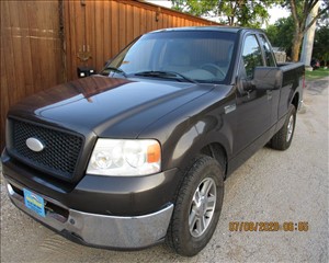 2006 FORD F150 1FTRF12W46NA91508 AUTO DIRECT 