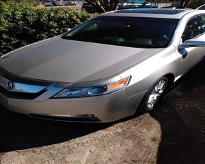 2010 ACURA TL 19UUA8F55AA023917 AUTO CONNECTIONS 